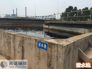 污水磷超標現場&ldquo;清水池&rdquo;
