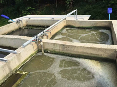 某爾夫球場(chǎng)現(xiàn)場(chǎng)