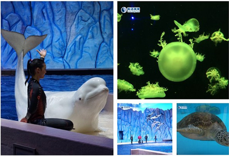 希潔環(huán)?；顒訄D片1