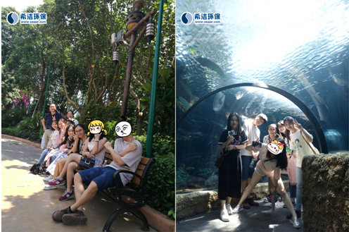 希潔環(huán)?；顒訄D片5