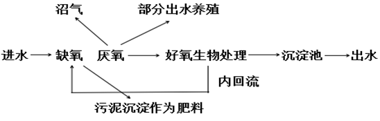 養(yǎng)豬場(chǎng)處理流程